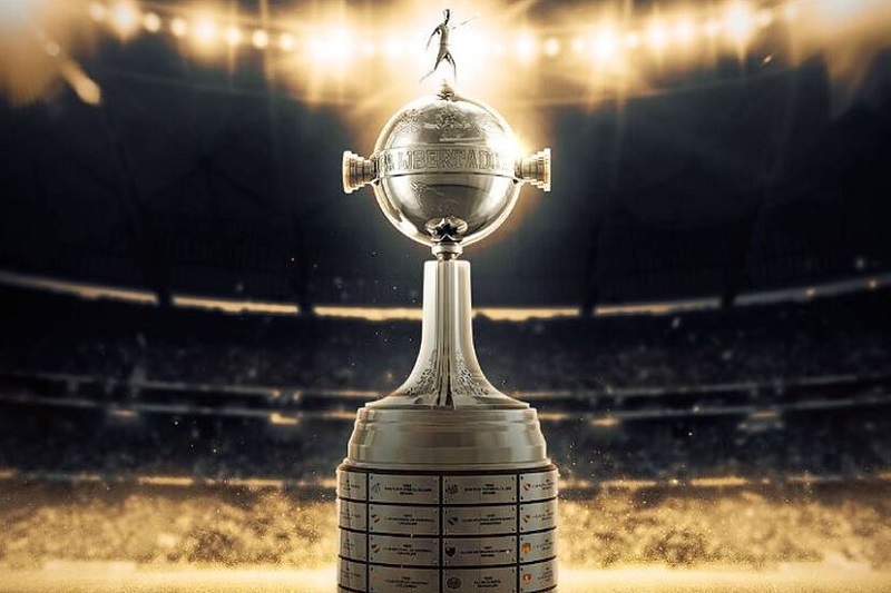 Giải đấu Copa Libertadores có khoảng 47 đội bóng đến từ các quốc gia thuộc khu vực Nam Mỹ tham dự